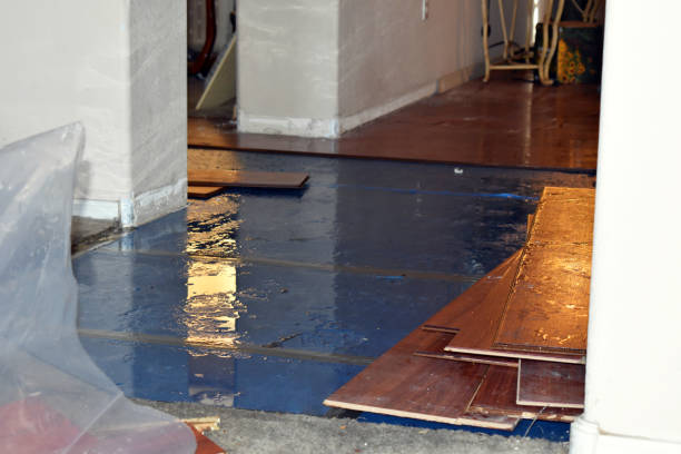 Professional Water Damage Restoration technician working in Sebastian, TX